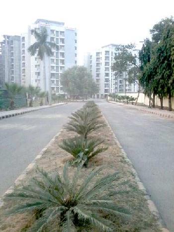 3 BHK Flats & Apartments for Rent in Sahibabad, Ghaziabad
