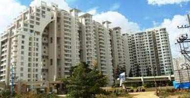 3 Bhk Flat for Rent in Posh Area