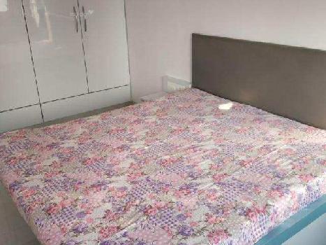 3 BHK Apartment For Sale in Gurgaon