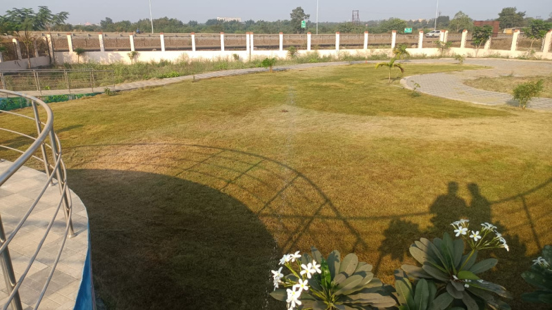 1811 Sq.ft. Residential Plot for Sale in Mihan, Nagpur