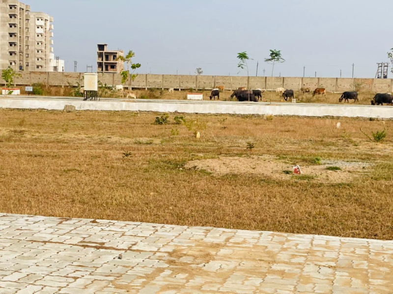 1195 Sq.ft. Residential Plot for Sale in Beltarodi, Nagpur