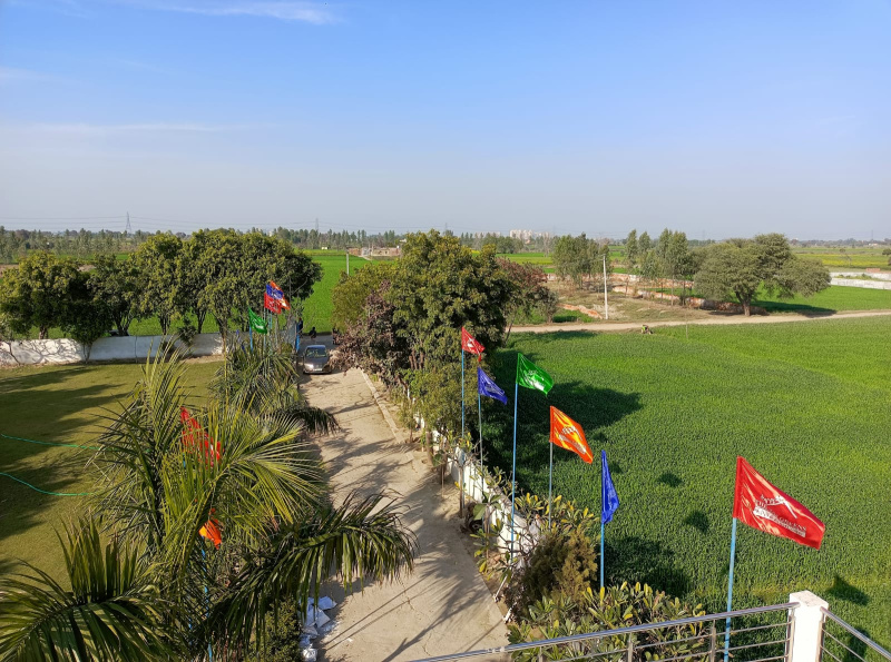 200 Sq. Yards Residential Plot for Sale in Sector 16A, Noida