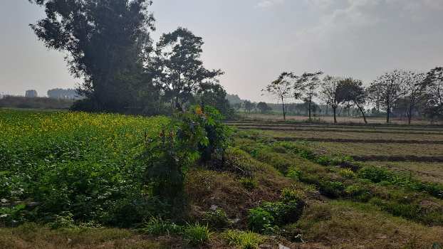 Property for sale in Dasuya Road, Hoshiarpur