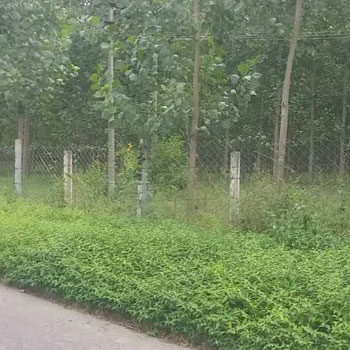 Property for sale in Dasuya Road, Hoshiarpur