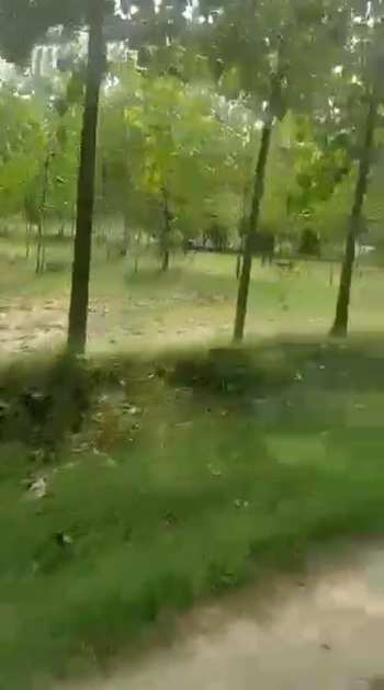 Property for sale in Dasuya Road, Hoshiarpur