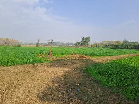 Property for sale in Dasuya Road, Hoshiarpur
