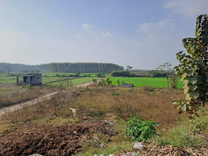 120 Acre Agricultural/Farm Land for Sale in Garhshanker, Hoshiarpur
