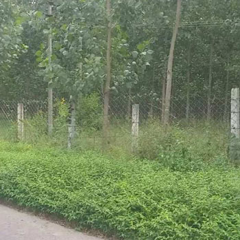 Property for sale in Garhshankar, Hoshiarpur