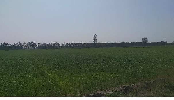 Property for sale in Dasuya Road, Hoshiarpur