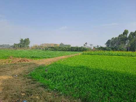 Property for sale in Dasuya Road, Hoshiarpur
