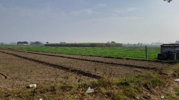 Property for sale in Dasuya Road, Hoshiarpur