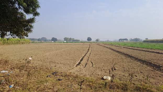 Property for sale in Dasuya Road, Hoshiarpur