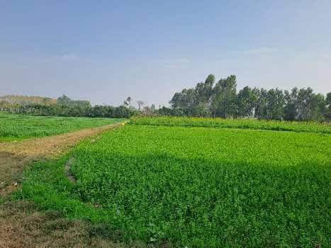 Property for sale in Dasuya Road, Hoshiarpur