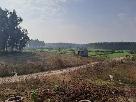 Property for sale in Dasuya Road, Hoshiarpur