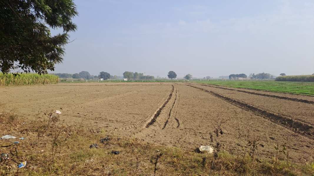 13 Acre Agricultural/Farm Land for Sale in Una Road, Hoshiarpur