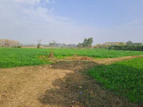 Property for sale in Una Road, Hoshiarpur