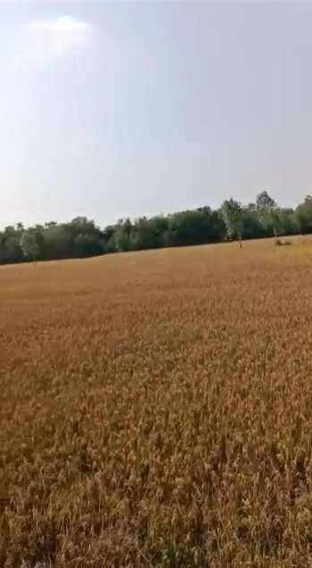 Property for sale in Bhunga, Hoshiarpur