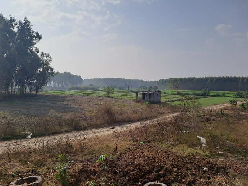 15 Acre Agricultural/Farm Land for Sale in Una Road, Hoshiarpur