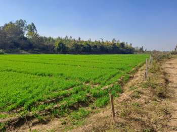 Property for sale in S.B.S. Nagar, Nawanshahr