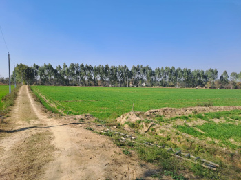 Property for sale in Hariana, Hoshiarpur
