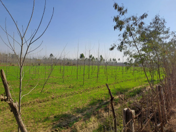 Property for sale in Hariana, Hoshiarpur