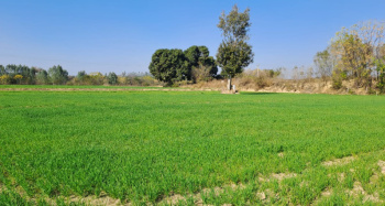 Property for sale in Una Road, Hoshiarpur