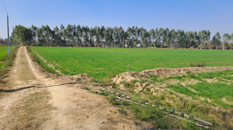 80 Acre Agricultural/Farm Land for Sale in Una Road, Hoshiarpur