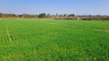 Property for sale in Una Road, Hoshiarpur