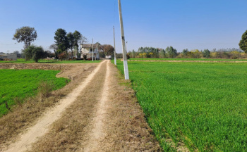 Property for sale in Una Road, Hoshiarpur