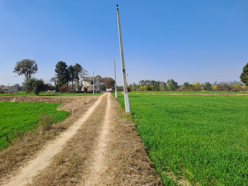 30 Acre Agricultural/Farm Land for Sale in Una Road, Hoshiarpur