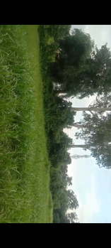 4.50 Bigha Residential Plot For Sale In Vikas Nagar, Dehradun