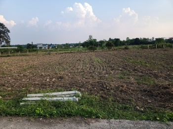 Agricultural/Farm Land For Sale In Vikas Nagar, Dehradun (4 Bigha)