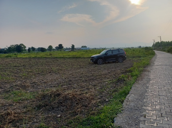 Agricultural/Farm Land For Sale In Vikas Nagar, Dehradun (4 Bigha)