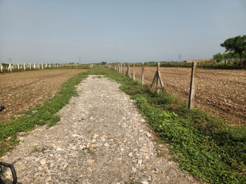 Agricultural/Farm Land For Sale In Vikas Nagar, Dehradun (1.50 Bigha)