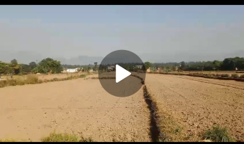 All Clear Documents With Mutation