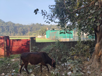 Property for sale in Jhajra, Dehradun