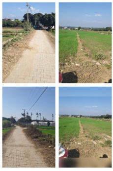 Agricultural/Farm Land for Sale in Vikas Nagar, Dehradun (1 Bigha)