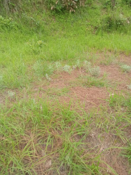 300 Sq. Meter Residential Plot for Sale in North Goa, Goa