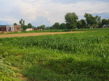 7 Bigha Agricultural/Farm Land for Sale in Naugaon, Alwar