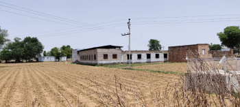 4 Bigha Agricultural/Farm Land for Sale in Delhi Bypass Road, Alwar