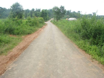 22 Bigha Agricultural/Farm Land for Sale in Naugaon, Alwar