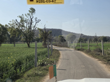 Aravali hill view for resort and farmahouse