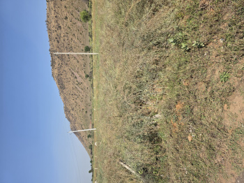 14 Bigha Agricultural/Farm Land for Sale in Naugaon, Alwar