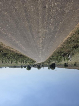 85 Bigha Agricultural/Farm Land for Sale in Naugaon, Alwar