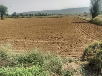 Agricultural/Farm Land for Sale in Kishangarh, Alwar (42 Bigha)