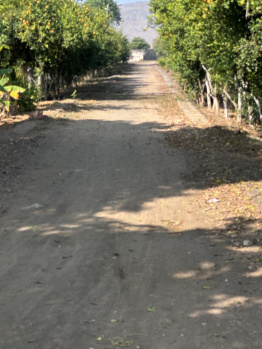 Agricultural/Farm Land for Sale in Pinan, Alwar (22 Bigha)