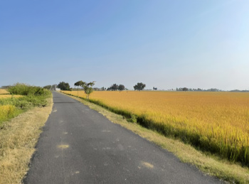 Agricultural/Farm Land for Sale in Naugaon, Alwar (4.5 Bigha)