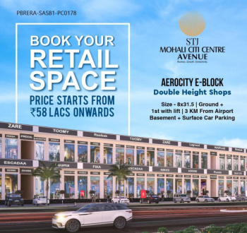 Commercial Shops for Sale in Aerocity, Mohali (252 Sq.ft.)