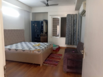 CDC Collage near 3BHK + Servant Room Rent available