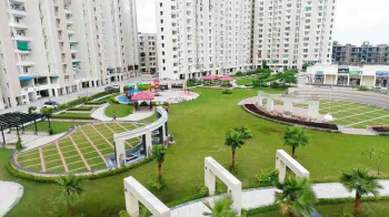 1BHK Executive Suite Best option Delhi Chd Road
